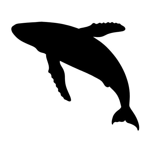 Whale - Black Premium Matte Vinyl - XL Size